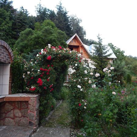 Pensiunea Paradis Borobanesti 외부 사진