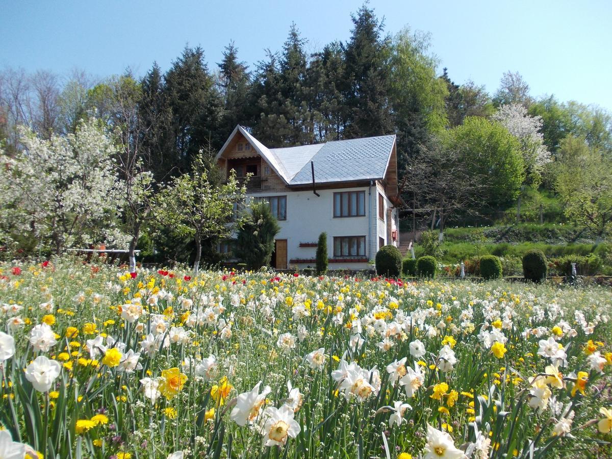 Pensiunea Paradis Borobanesti 외부 사진