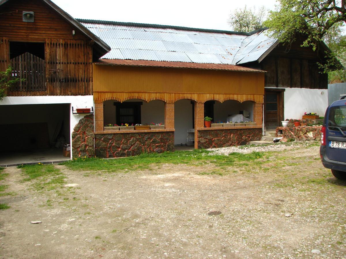 Pensiunea Paradis Borobanesti 외부 사진