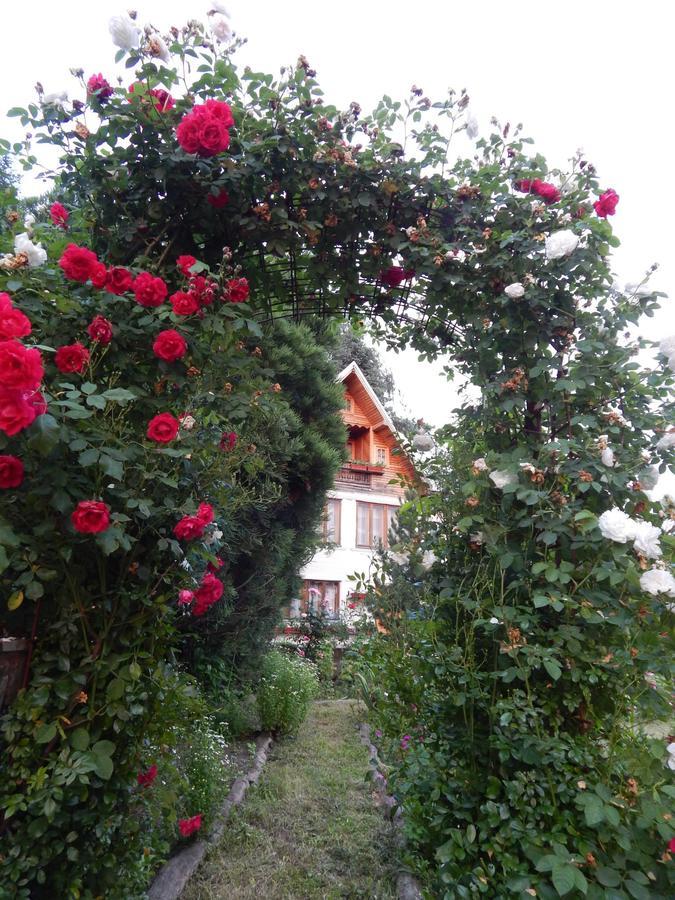 Pensiunea Paradis Borobanesti 외부 사진