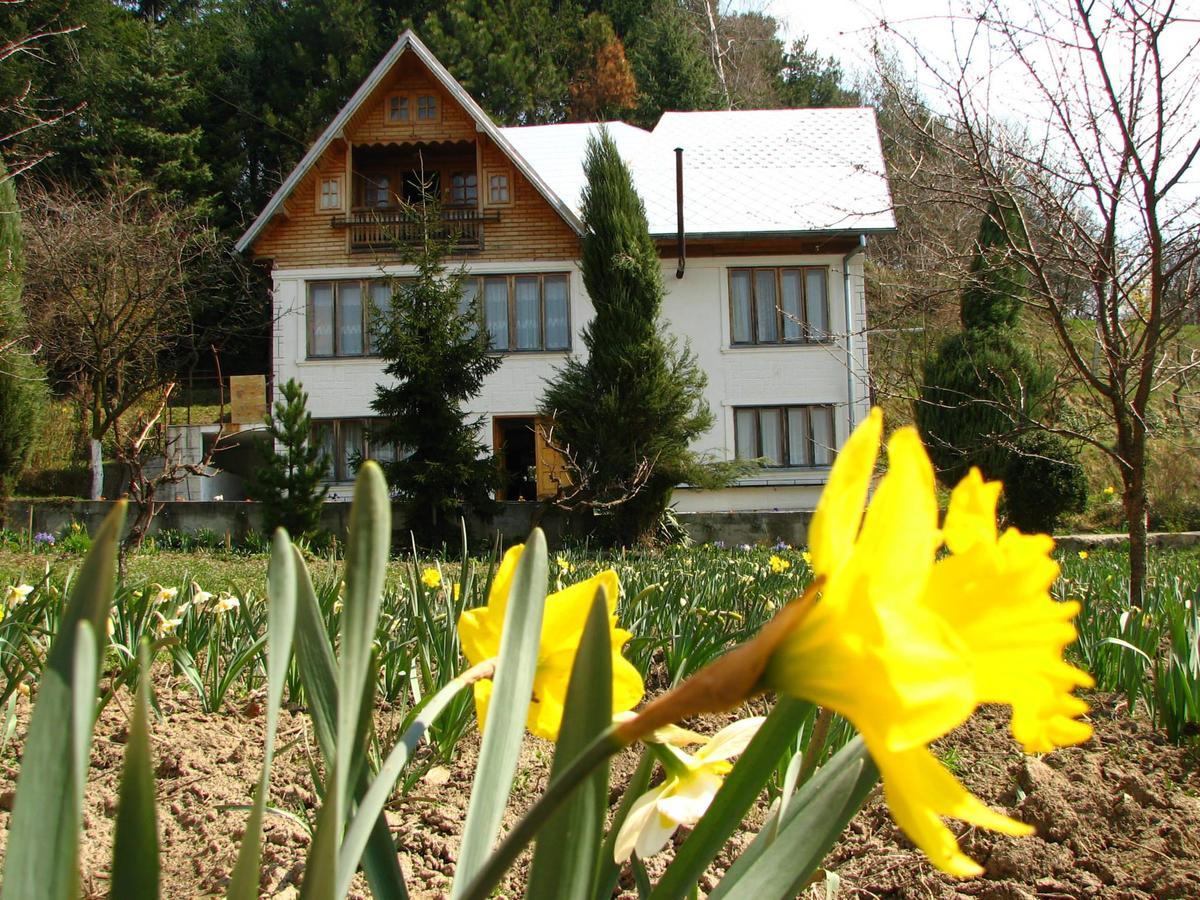 Pensiunea Paradis Borobanesti 외부 사진