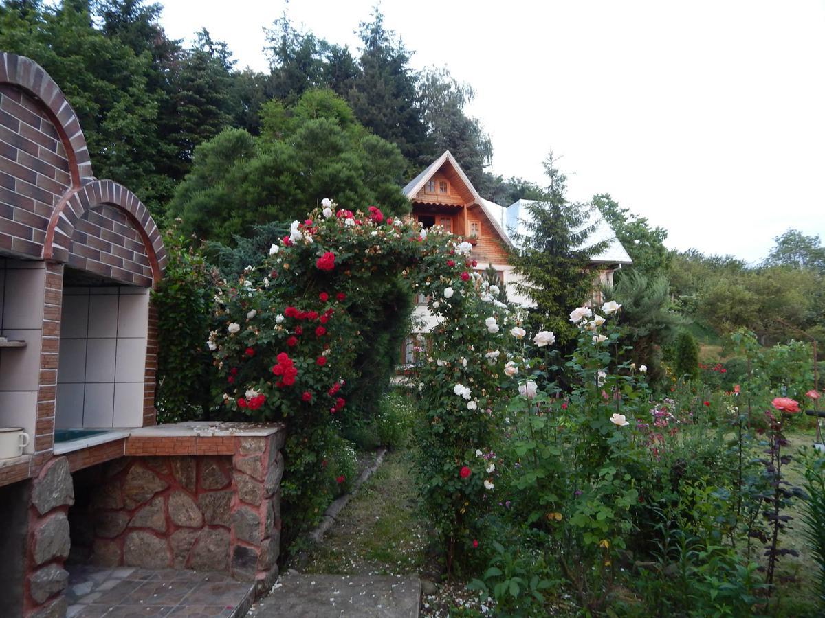 Pensiunea Paradis Borobanesti 외부 사진