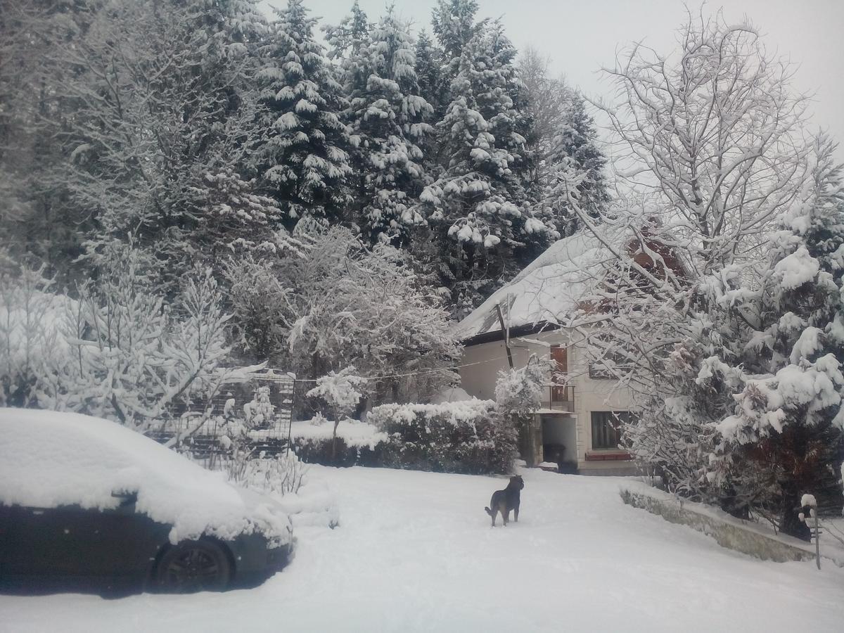 Pensiunea Paradis Borobanesti 외부 사진