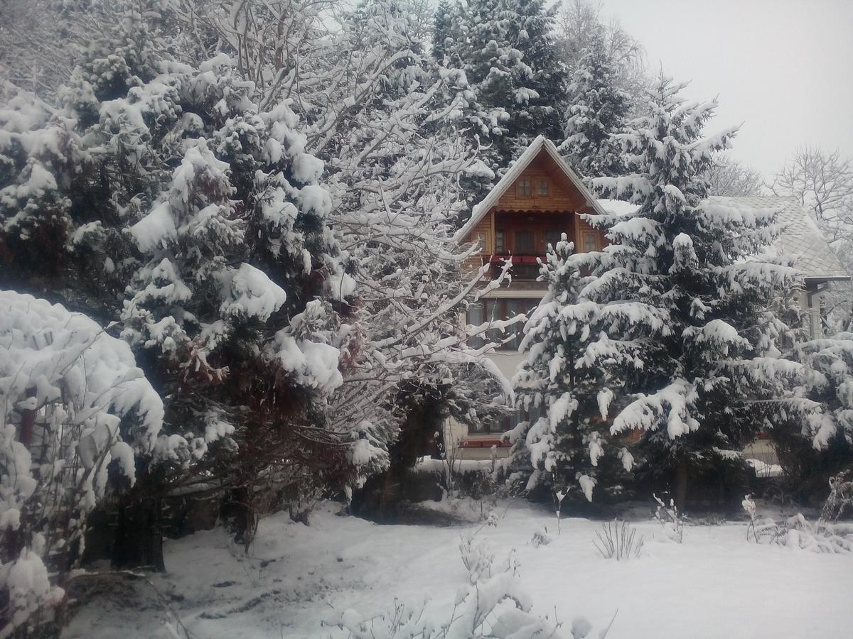 Pensiunea Paradis Borobanesti 외부 사진